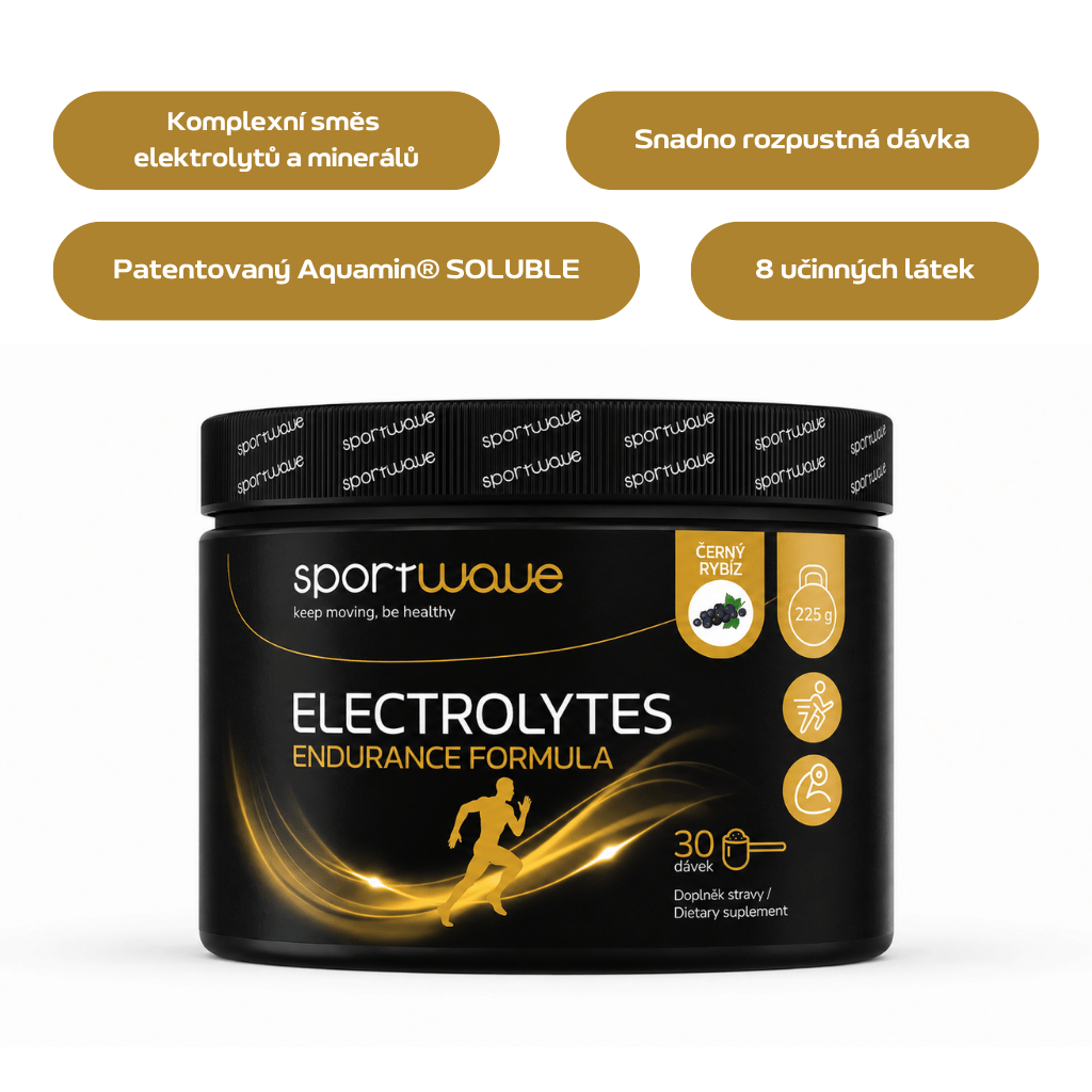 Electrolytes endurance formula - černý rybíz  - slozeni